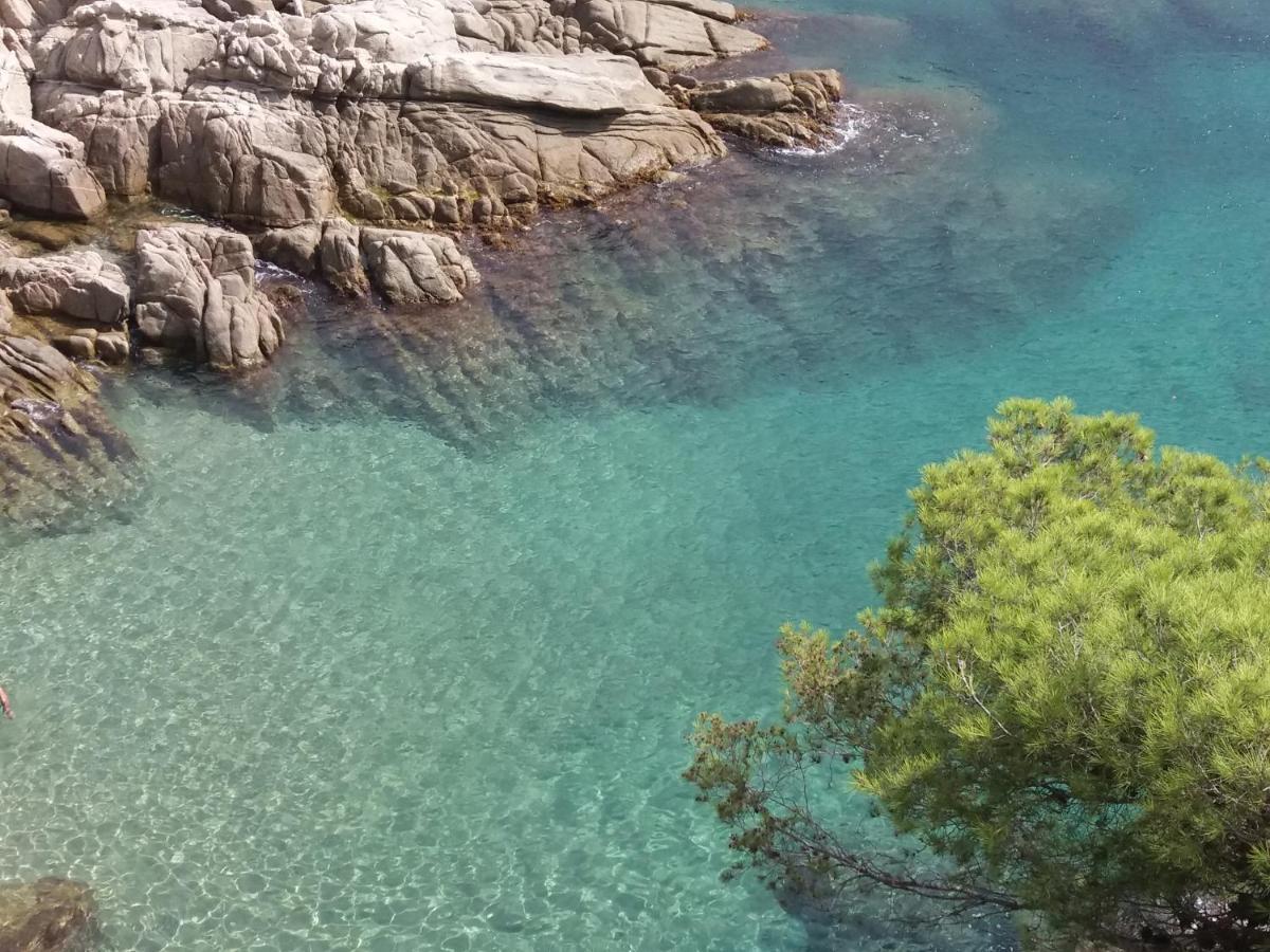 La Bastida De Calonge Daire Sant Antoni De Calonge Dış mekan fotoğraf